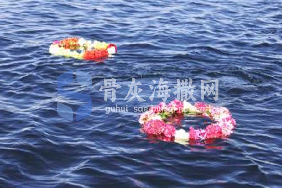 海撒服务