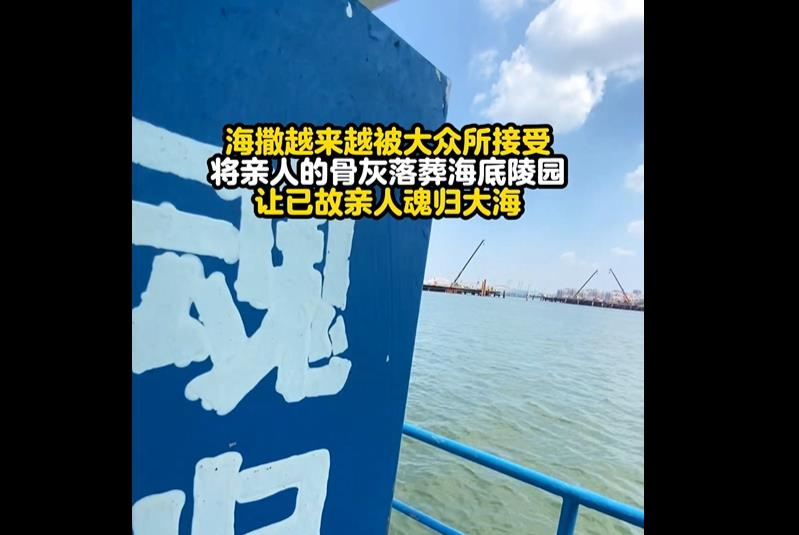 海撒免费的怎么办理？具体流程有哪些？
