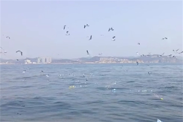 骨灰海葬服务-15