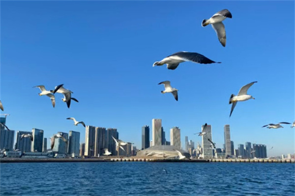 生命终章，以海为家——苏州海葬新政全解读，让爱与自然共存！